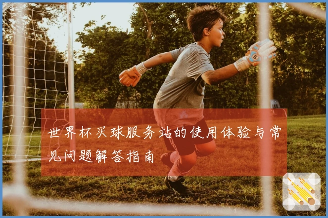 世界杯买球服务站的使用体验与常见问题解答指南