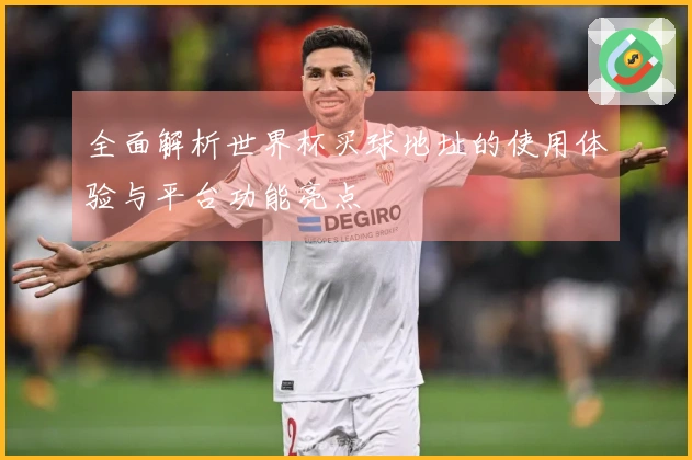 全面解析世界杯买球地址的使用体验与平台功能亮点