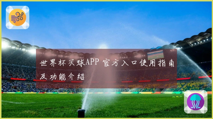 世界杯买球APP 官方入口使用指南及功能介绍
