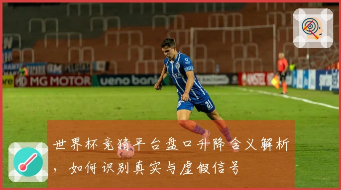 世界杯竞猜平台盘口升降含义解析,如何识别真实与虚假信号