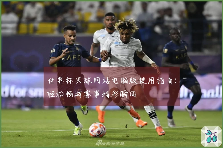 世界杯买球网站电脑版使用指南：轻松畅游赛事精彩瞬间
