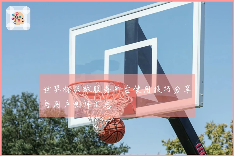 世界杯买球服务平台使用技巧分享与用户测评汇总