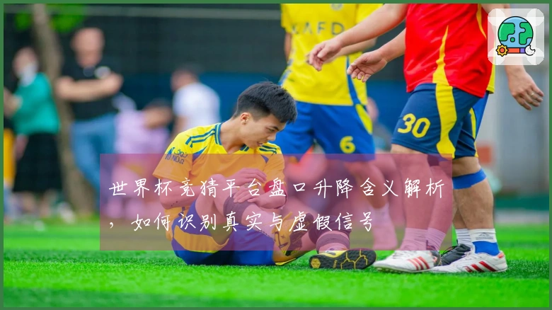 世界杯竞猜平台盘口升降含义解析，如何识别真实与虚假信号