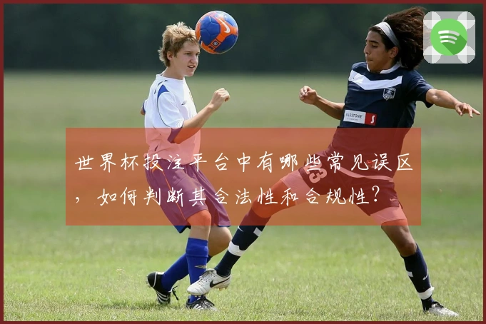 世界杯投注平台中有哪些常见误区,如何判断其合法性和合规性?