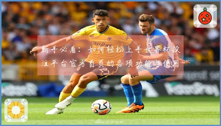 新手必看：如何轻松上手世界杯投注平台官方首页的各项功能与使用体验