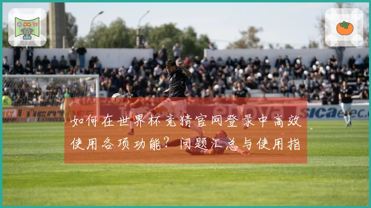 如何在世界杯竞猜官网登录中高效使用各项功能？问题汇总与使用指南