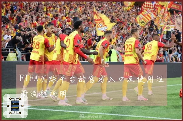 FIFA买球平台的官方入口及使用注册流程说明