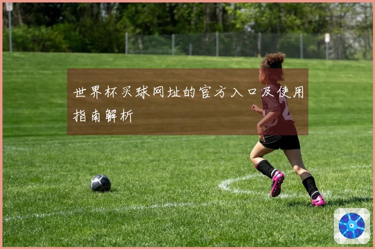 世界杯买球网址的官方入口及使用指南解析