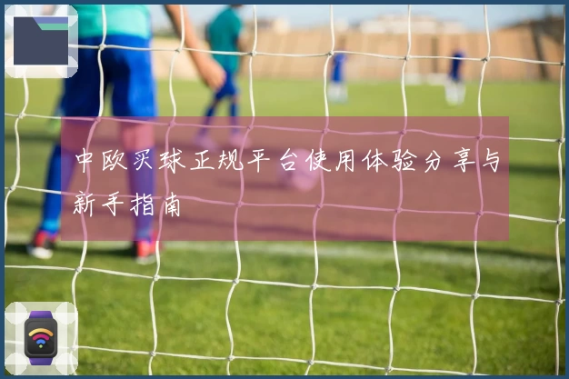 中欧买球正规平台使用体验分享与新手指南