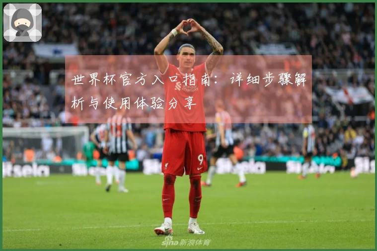 世界杯官方入口指南：详细步骤解析与使用体验分享