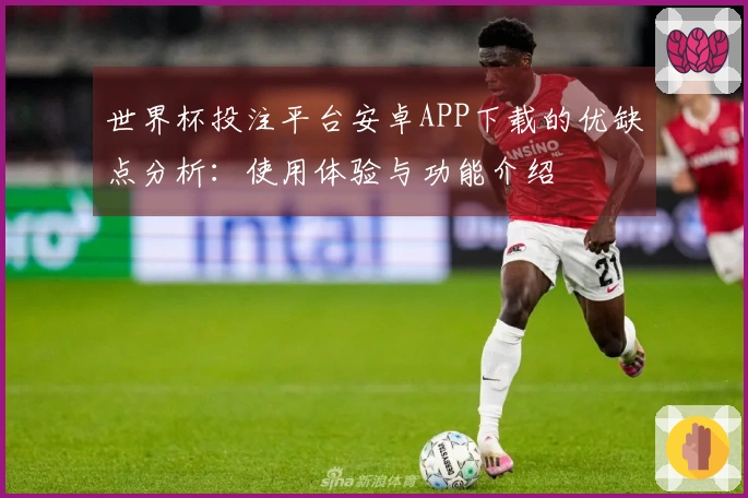 世界杯投注平台安卓APP下载的优缺点分析：使用体验与功能介绍