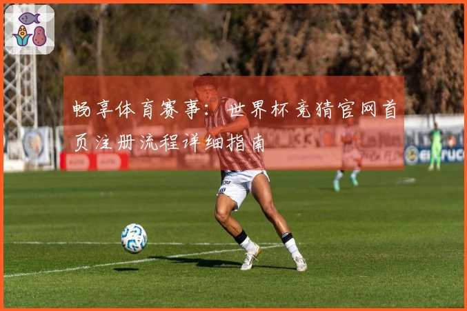 畅享体育赛事:世界杯竞猜官网首页注册流程详细指南