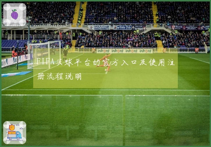 FIFA买球平台的官方入口及使用注册流程说明